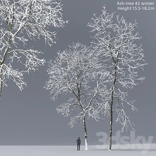 Winter Ash 3DS Max Model