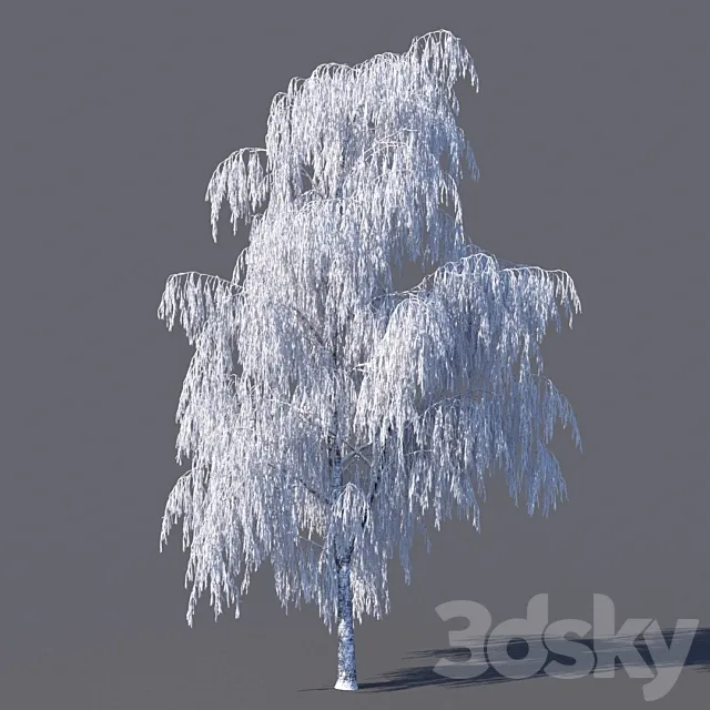 Winter birch (15 meters) 3DSMax File