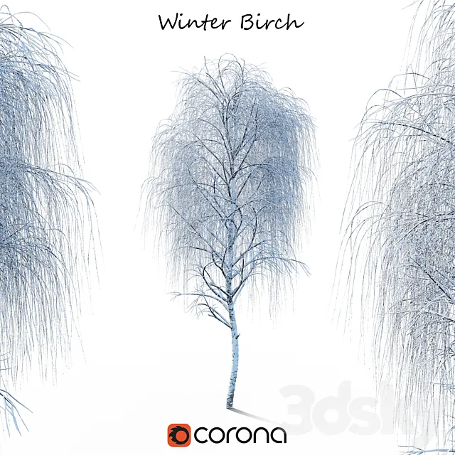 Winter birch 3DSMax File