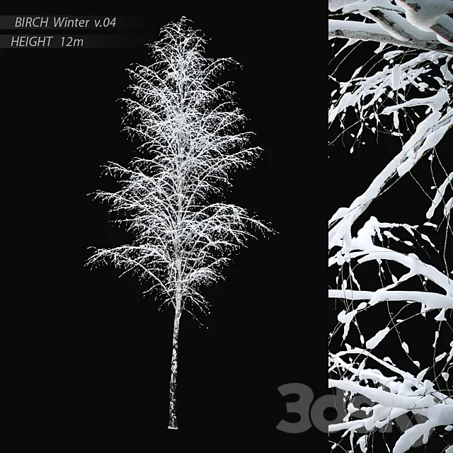 Winter birch v.04 (12m) 3ds Max