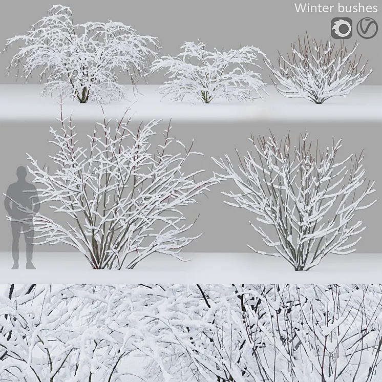 Winter bushes # 1 3DS Max Model