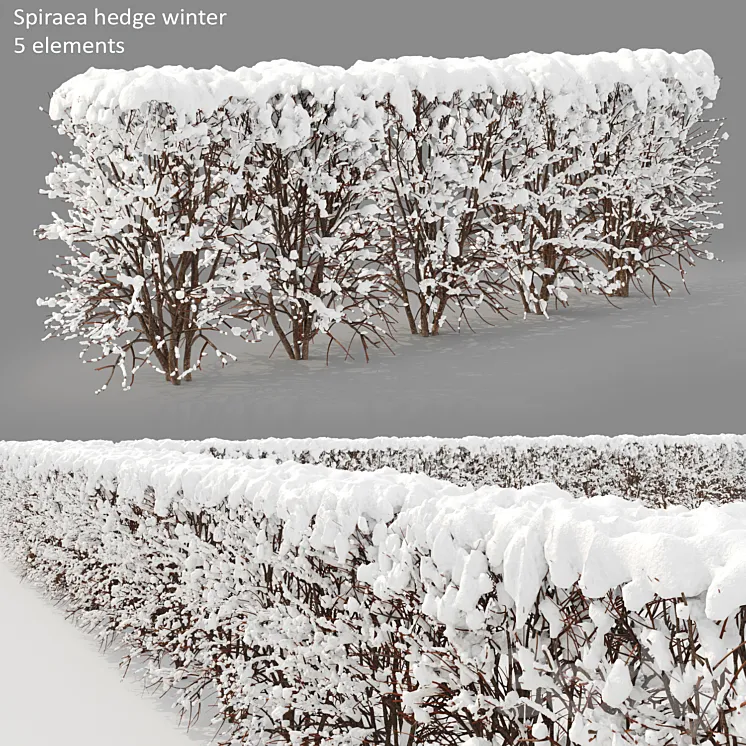 Winter hedge 3DS Max