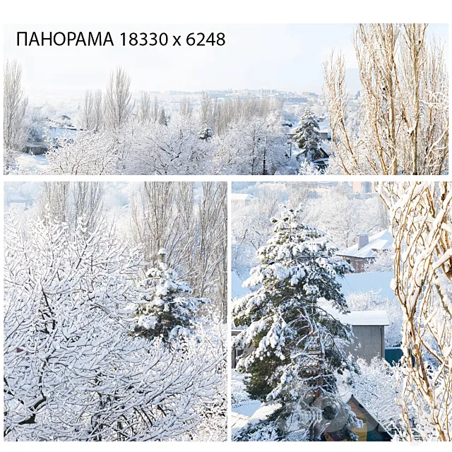 Winter panorama. View from the window. 3ds Max