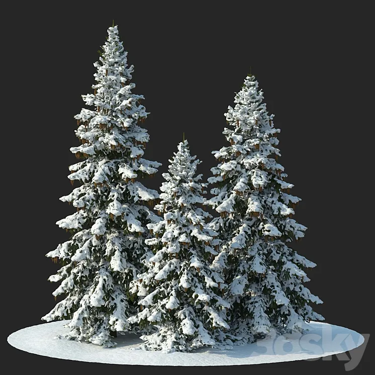 Winter spruces (Winter spruces) 3DS Max