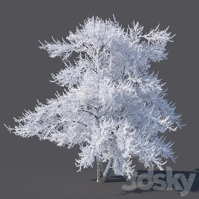 Winter tree (6 meters) 3DSMax File