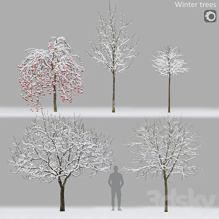 Winter trees # 1 3DS Max Model