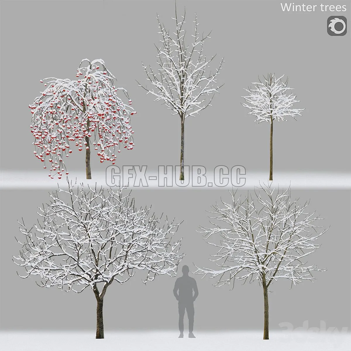 Winter trees 1 3dsMax Model