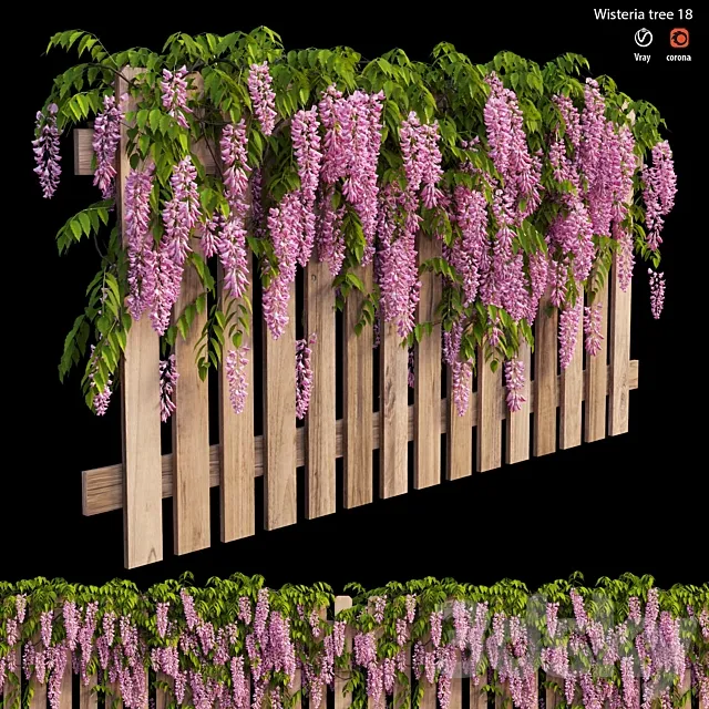 wisterial plant 18 3ds Max