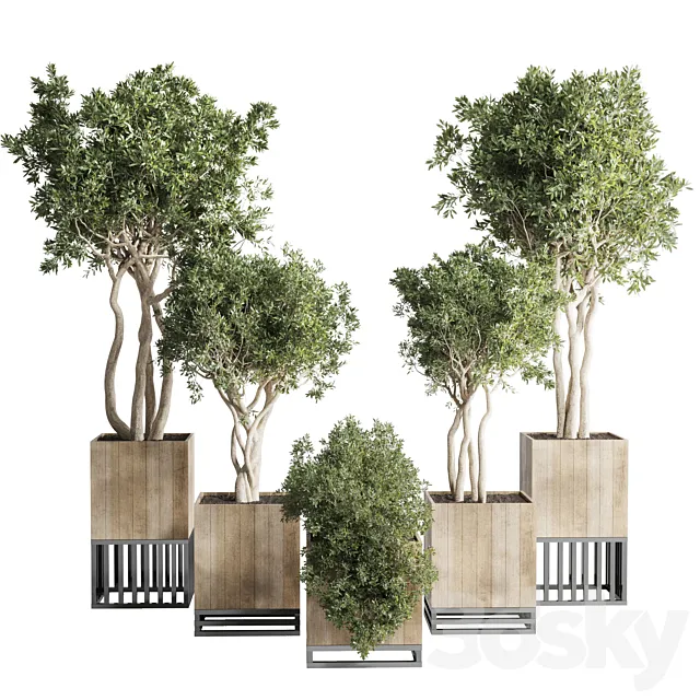 wooden Box Plants on Stand – collection of houseplants indoor 193 3ds Max