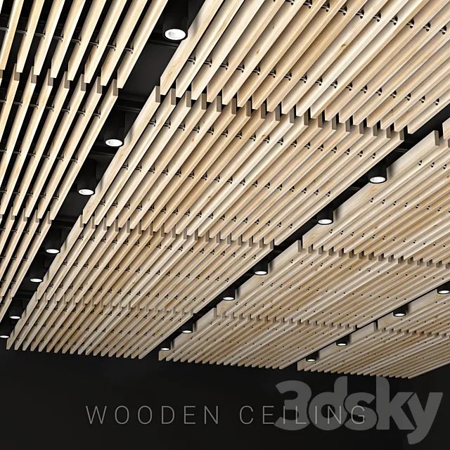 Wooden ceiling 6 3DS Max Model