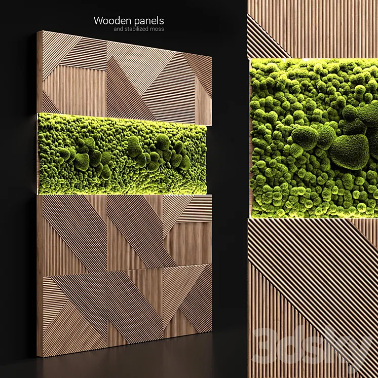 Wooden panels and stabilized moss 3DS Max