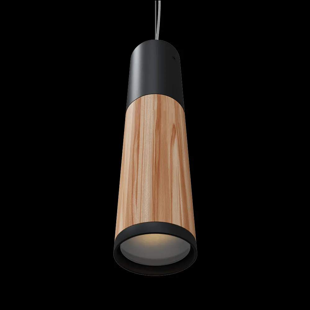 Woodled – Pendant lamp Vector M 3ds Max