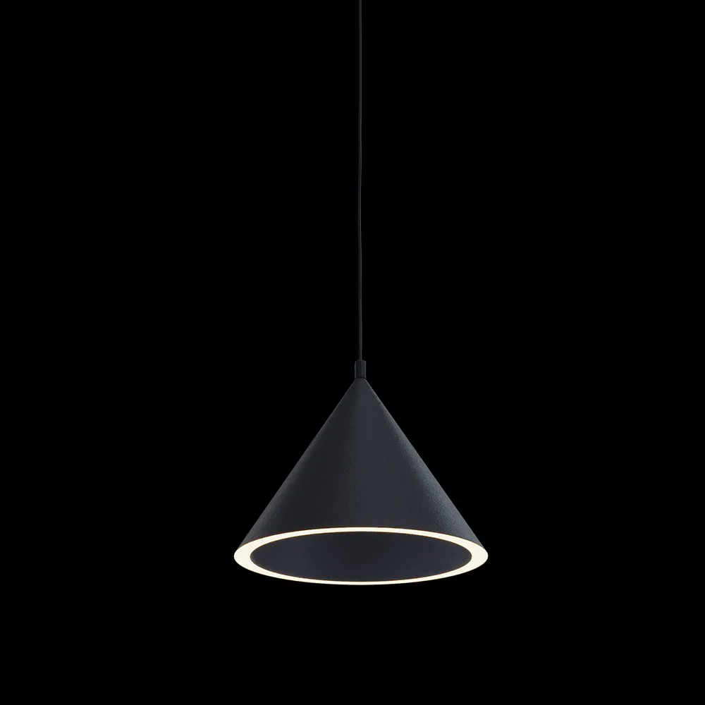 Woud – Pendant lamp Annular 3ds Max