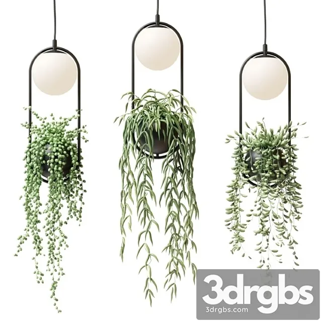 Wren – sky garden planter light