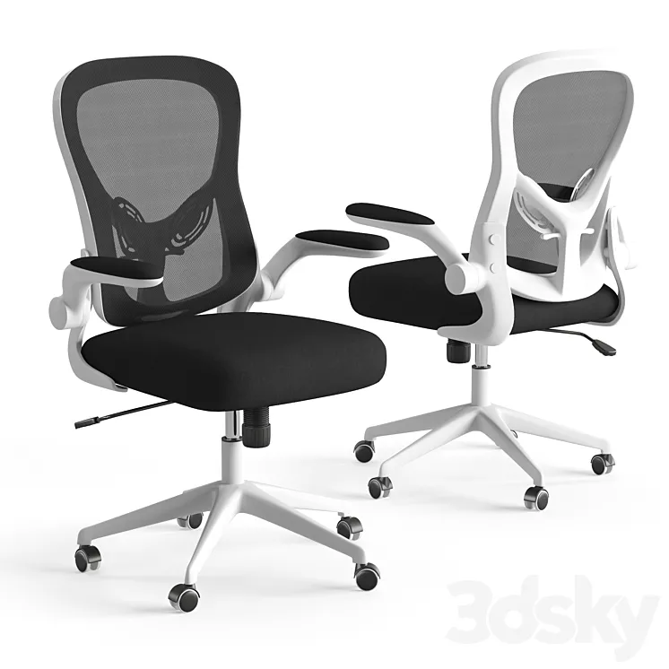 Xiaomi HBADA Ergonomic Double-Waisted Computer Chair HDNY163WM 3DS Max Model