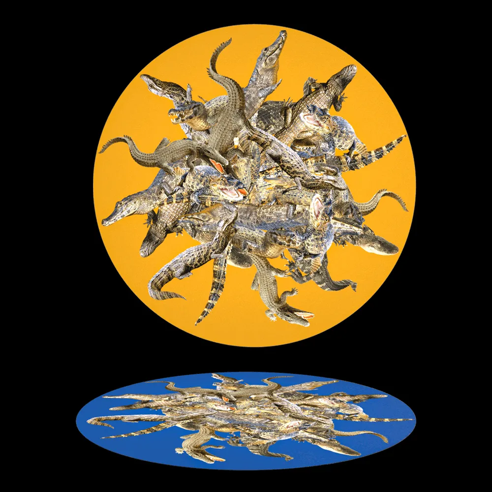 Y-O2 – Carpet Folia FO3 01 3ds Max