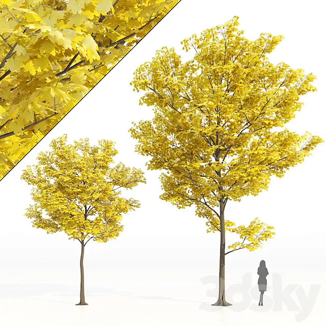 Yellow leaf trees 3ds Max