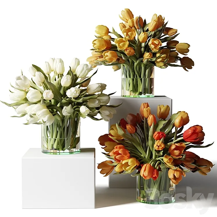 Yellow red and white tulips in glass vases 3DS Max