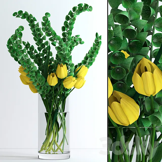 Yellow tulips and Moluccella 3ds Max