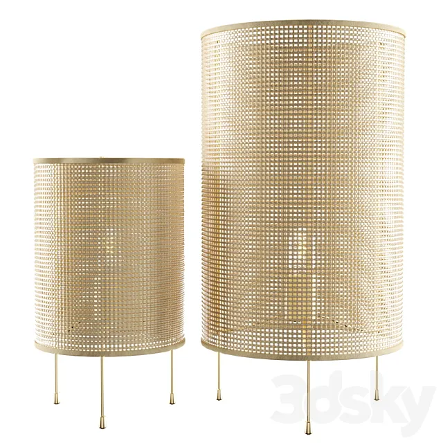 Zara Home Rattan Lamp 3ds Max