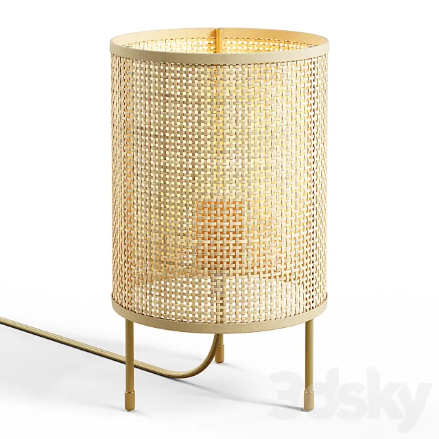 Zara Home – Rattan Lamp 3ds Max