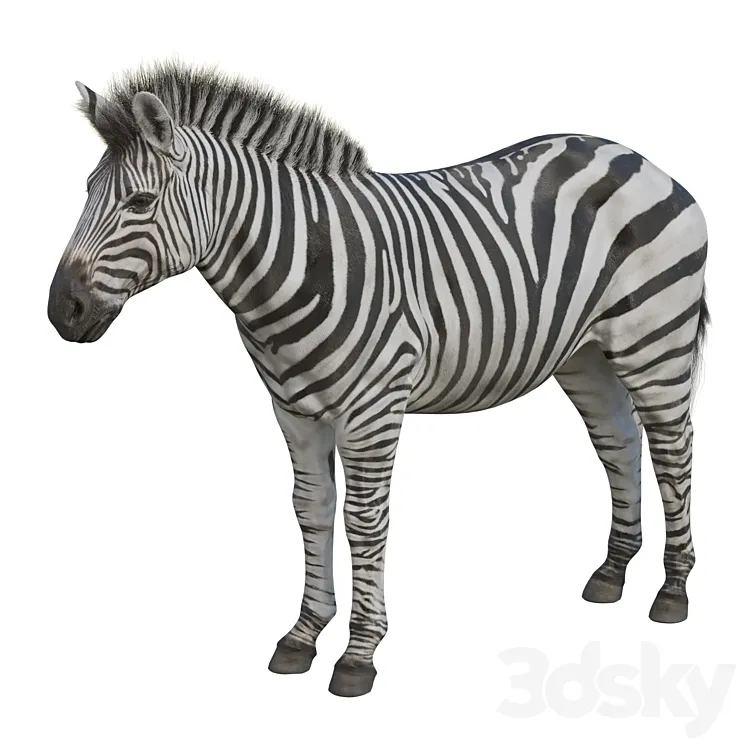 Zebra 3DS Max